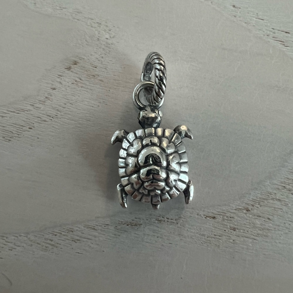 Brighton Turtle Charm